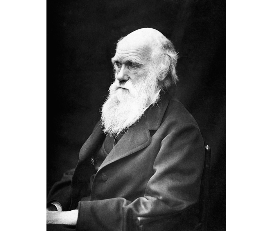 Darwin