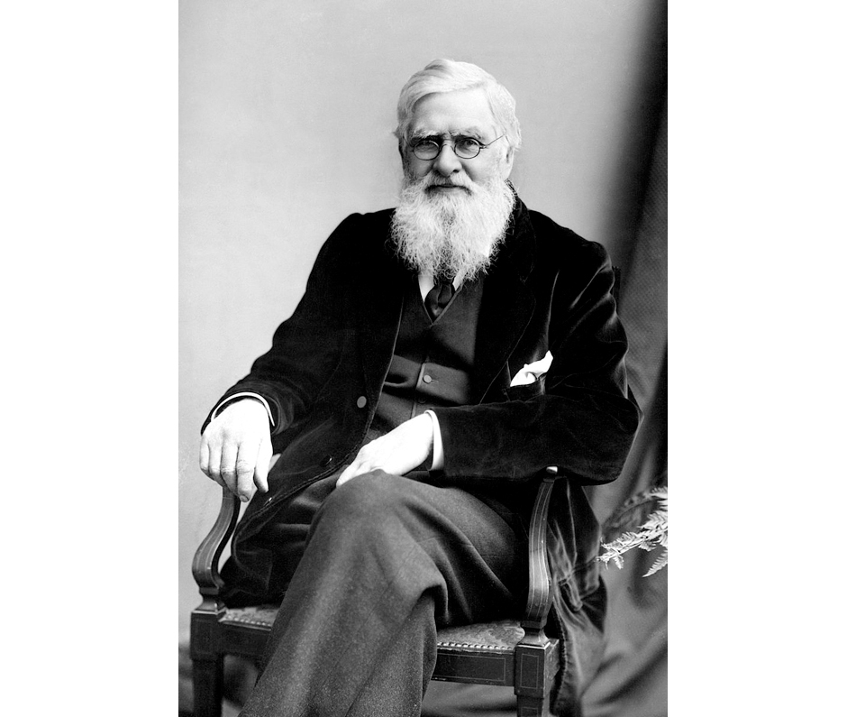 Wallace