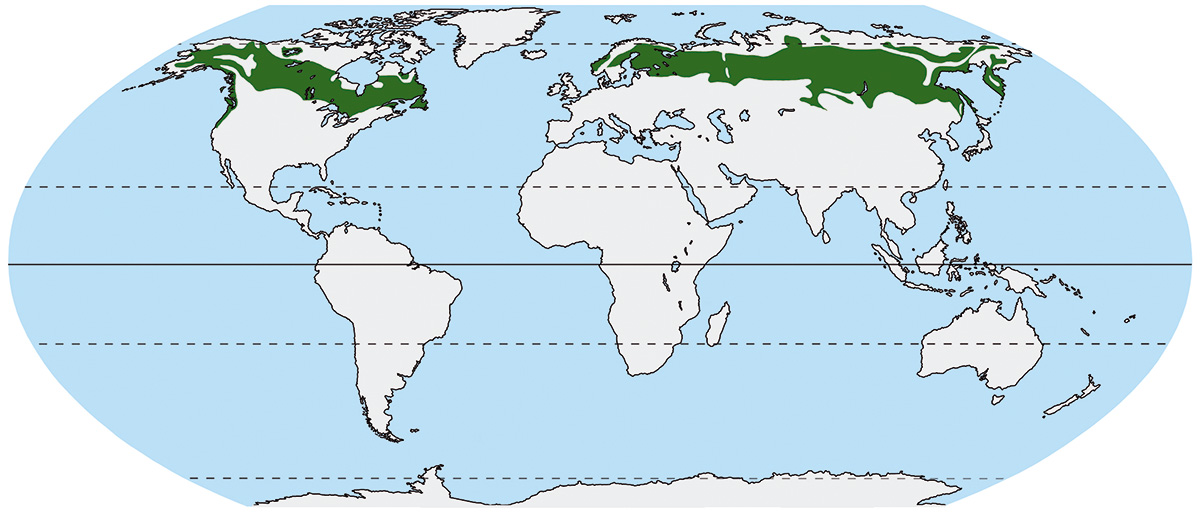 Põhja-Ameerika idaosas, Euroopas, Kaug-Idas, Argentiinas, Kagu-Austraalias, Uus-Meremaal
